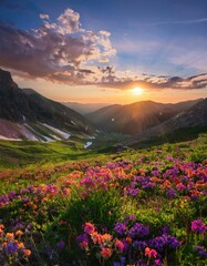 Vibrant Wildflowers Bloom Across Mountain Valley