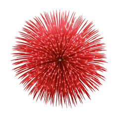Obraz premium Vibrant red fireworks exploding on a transparent background, perfect for festive celebrations and patriotic holidays like Independence Day