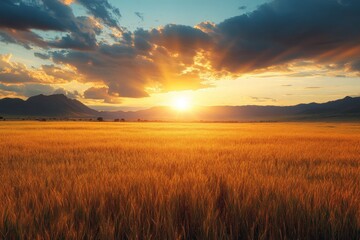 Golden maize crops stretch across the landscape in Kenya as the sun sets, casting warm hues over the field and highlighting the rural beauty Generative AI