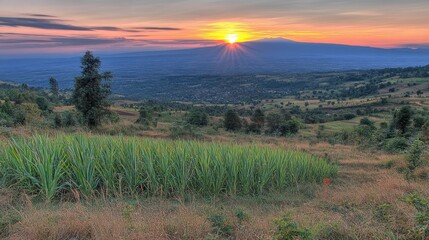 Obraz premium Blue and Green Earth Globe on Dark Starry Background