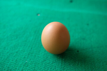 Photo of a chicken egg with a green background
