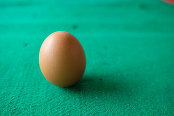 Photo of a chicken egg with a green background