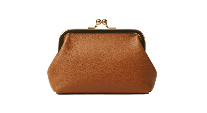 Isolated brown leather coin purse