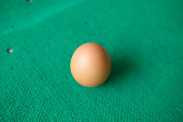 Photo of a chicken egg with a green background