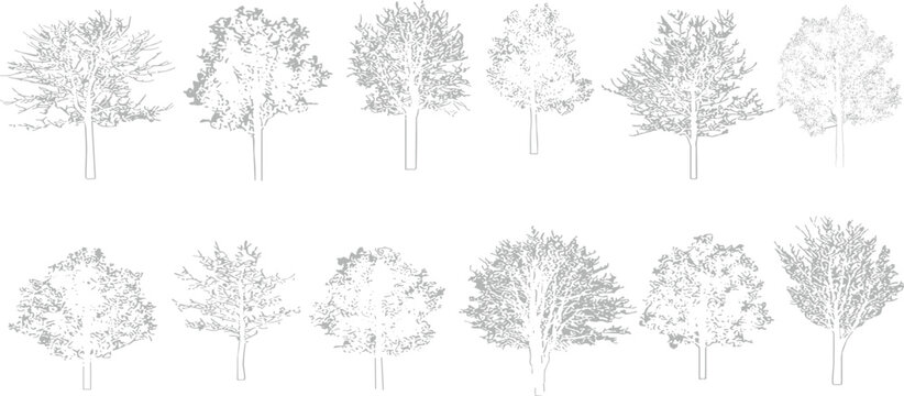 Architectural Drawings, Minimal style cad tree line drawing, Side view, set of section wetland forest outline for landscape design drawing.