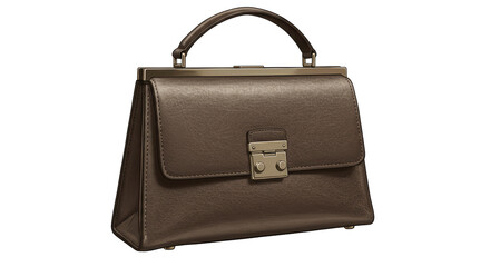 Isolated Brown Leather Handbag