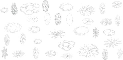 set of shrubs line cad, minimal isolated on white background.