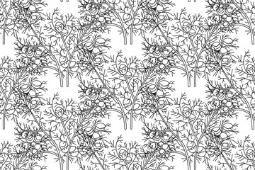 Line art botanical seamless floral pattern with chamomile vector illustration. Black outline repeating daisy plants in white background. Graphic design for Fashion Cover Textile Print Fabric Coloring