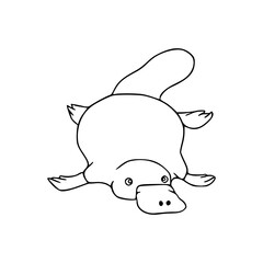 simple platypus line art drawing