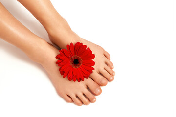Female feet with red daisy flower are displayed on a clean white background. 
