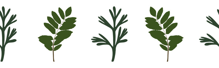  Leaves border on a white background. Hand-drawn illustration. Perfect for spring and summer.