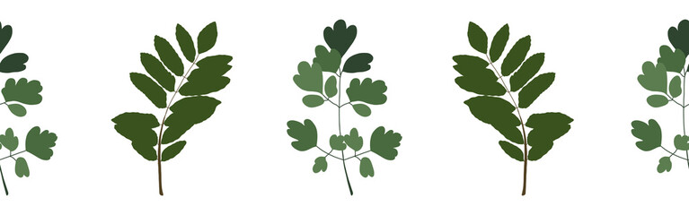  Leaves border on a white background. Hand-drawn illustration. Perfect for spring and summer.