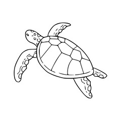 Fototapeta premium simple sea turtle outline vector