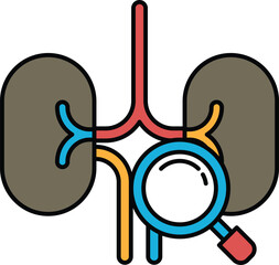A drawing of a kidney with a magnifying glass on it