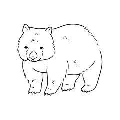native Australian wildlife line art