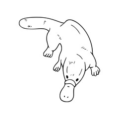 monotreme platypus line art
