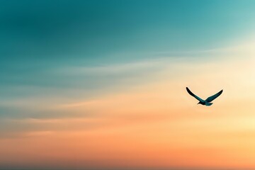 Silhouette of soaring bird against dreamy turquoise and peach sunset sky creates peaceful, minimalist composition for meditation, wellness and spiritual designs.