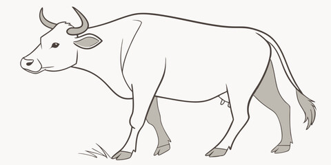 EID UL ADHA MINIMALISTIC VECTOR ILLUSTRATION OF A COW STANDING STRAIGHT , WHITE & SILVER COLOR LINE ART PNG 