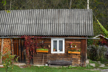 An old wooden house with flowers in the yard and prepared firewood.