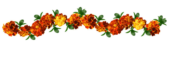  isolated garlands of flowers.  Marigold Diwali. Indian flower door garland of leaves and marigold flowers. marriage, festivals traditional.