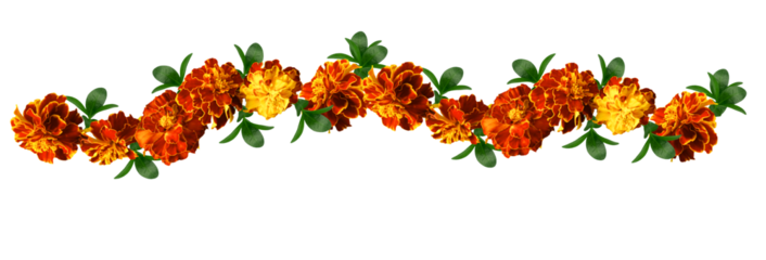  isolated garlands of flowers.  Marigold Diwali. Indian flower door garland of leaves and marigold flowers. marriage, festivals traditional.