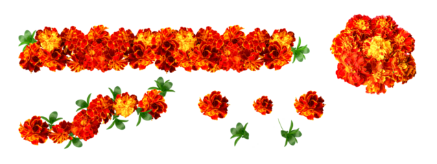 Marigold Diwali. Indian flower door garland of leaves and marigold flowers. marriage, festivals traditional. isolated garlands of flowers. Set