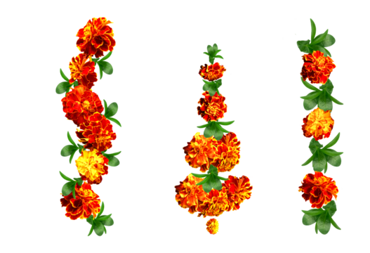 Marigold Diwali. flowers. marriage, festivals traditional. isolated garlands of flowers. Set