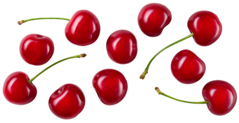 Cherry isolated png. Sour cherry with leaf on white or transparent background. Perfect retouched cherries on branch with leaves no background.  Png cherry flat lay.  Sour cherries background.