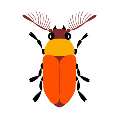 Stag beetle. Stylized bug with symmetrical design and vibrant colors. Hand drawn Minimalist design, clean lines modern flat illustration style. For nature themed designs or childrens illustrations