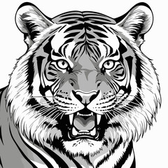 tiger head vector art for graphic design purposes