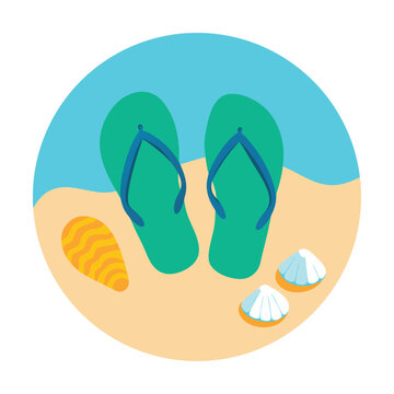 flip flops vector illustration