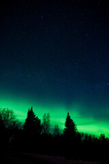 Fototapeta premium Aurora borealis or northern lights on the night sky.
