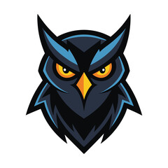 owl on white background