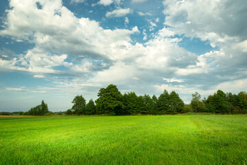 Vivid landscape of green meadow with trees and clouds on the sky