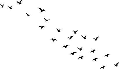 Flock of Birds Silhouettes Flying in Formation, Minimalist Black on White Background
