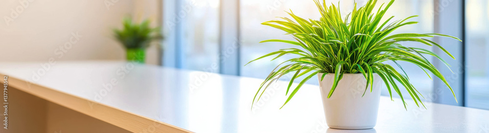Poster vibrant green potted plant sits on sleek white table near large window, creating fresh and calming a