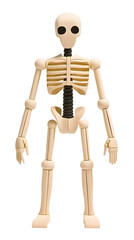 3D Illustration Skeleton Figure Isolated On Transparent Background Black