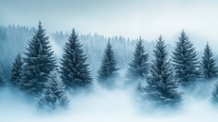 Obraz premium Snow gently falling on majestic spruce trees. Serene winter forest blanketed in soft white for a peaceful natural scene.
