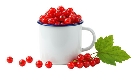 Isolated Red Currants in a Mug
