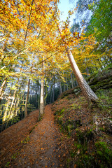 Landscape at the Buchkammerfels near Busenberg. Nature at the Heidenberg with red sandstone cliffs and forests in the Palatinate region.
