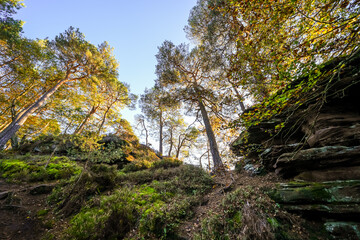 Landscape at the Buchkammerfels near Busenberg. Nature at the Heidenberg with red sandstone cliffs and forests in the Palatinate region.

