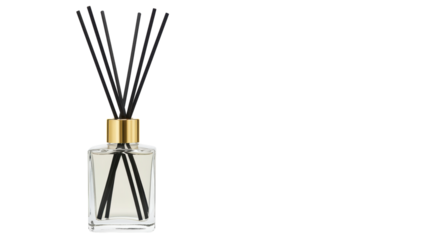 Isolated Reed Diffuser in Glass Bottle