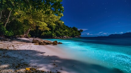 Obraz premium The glowing bioluminescent plankton in the waters of Koh Lipe.