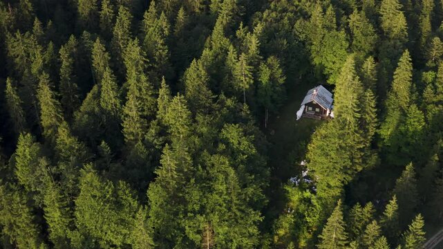 Drone aerial video with a single cabin surrounded by pine forest in the Bavarian Alps, Germany
