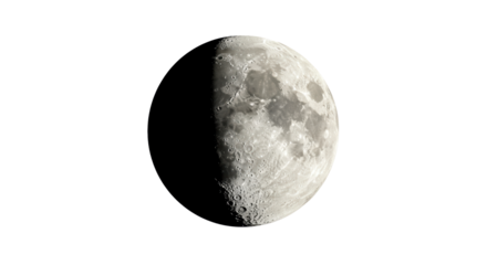 Isolated Half Moon Phase Lunar Cycle Astronomy