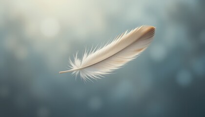 Single Soft White Feather Floating in Air Light Blue Background Gentle Breeze