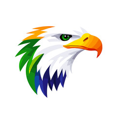 Fototapeta premium Eagle head illustration with colorful feathers 