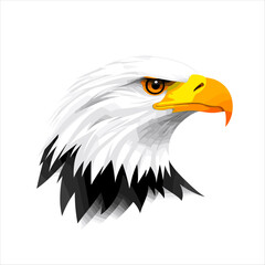 Obraz premium Bald Eagle Portrait Illustrating Majestic Features in Bold Colors 