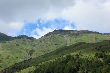 Scenic View Of A Green Mountain Valley With Lush Slopes, Pine Forest At The Bottom, And Rocky Peaks...