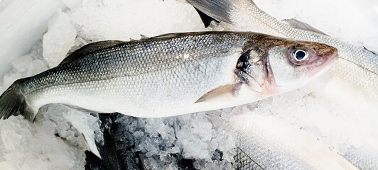 big fish, grey fish, fish dish sea bream, trout, garfish and various fish varieties